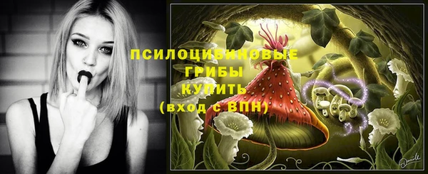 тгк Михайловка