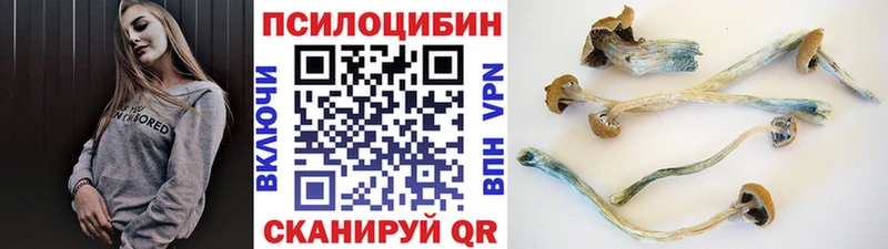 Галлюциногенные грибы мицелий  наркотики  Голицыно 